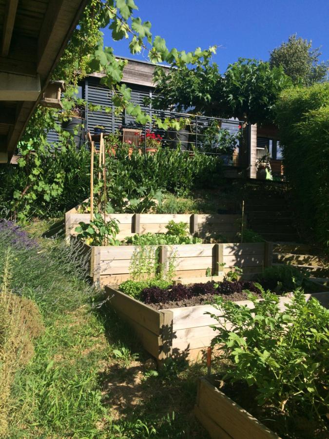 Les Terrasses De Rochetaillee Bed & Breakfast Dış mekan fotoğraf